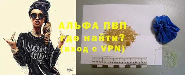 прущие грибы Гусиноозёрск