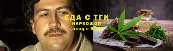 прущие грибы Гусиноозёрск