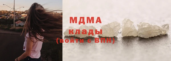 прущие грибы Гусиноозёрск