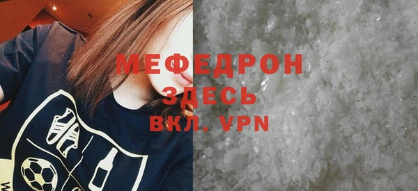 прущие грибы Гусиноозёрск