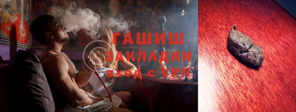 прущие грибы Гусиноозёрск