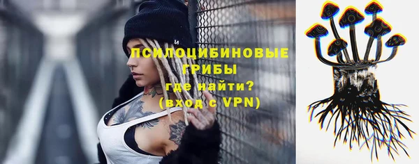PSILOCYBIN Гусев